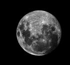 fullmoon112010fullsizejpg.jpg