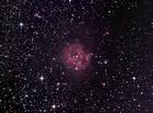ic5146qhy8maknewt081314cropped.jpg