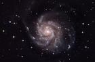 m101-020908a.jpg