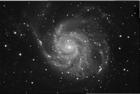 m101L-020908.jpg