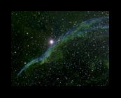 Witch's-Broomngc6960.jpg