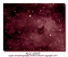 NGC6910duotone.jpg