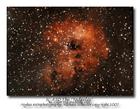 ic410bicolor_filtered_nov1.jpg